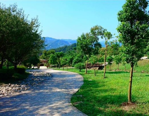 聯合奠祭免費接送環保葬區服務示意圖