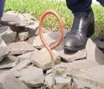 選擇葬區流程照片