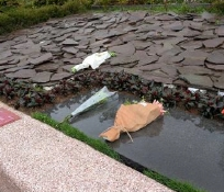 圓滿禮成流程照片