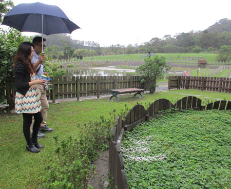 寵物灑葬區照片 2