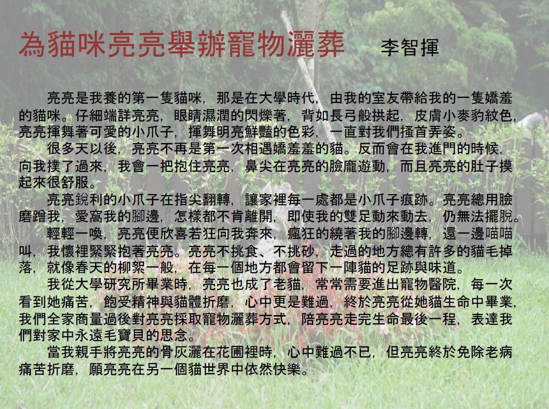 為貓咪亮亮舉辦寵物灑葬